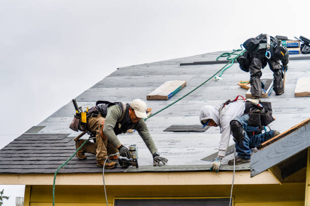 Professional Gutter Installation technician working in Groveton, TX